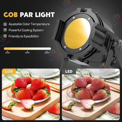 KTVLIGHTS 80W COB LED White/Warm White Stage PAR Spotlight-P39