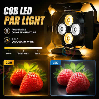 KTVLIGHTS 120W LED Stage PAR Light with Barn Doors-P5