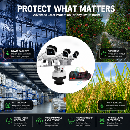 Programmable Triple-Head Landmark Outdoor Laser Light -B28