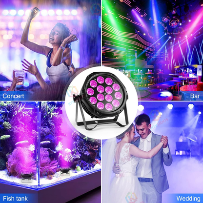 KTVLIGHTS 4-in-1 RGBW Silent LED Party PAR Light-P59